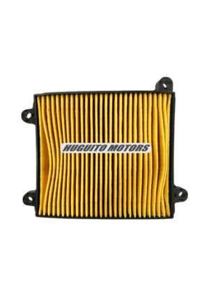 FILTRO AIRE CD100/HER