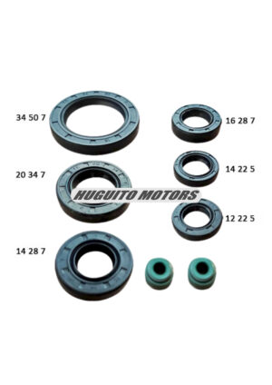 KIT RETEN MOTOR C300G